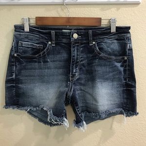 BKE Payton Jean Shorts Denim